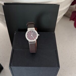 Brown Skagen Watch